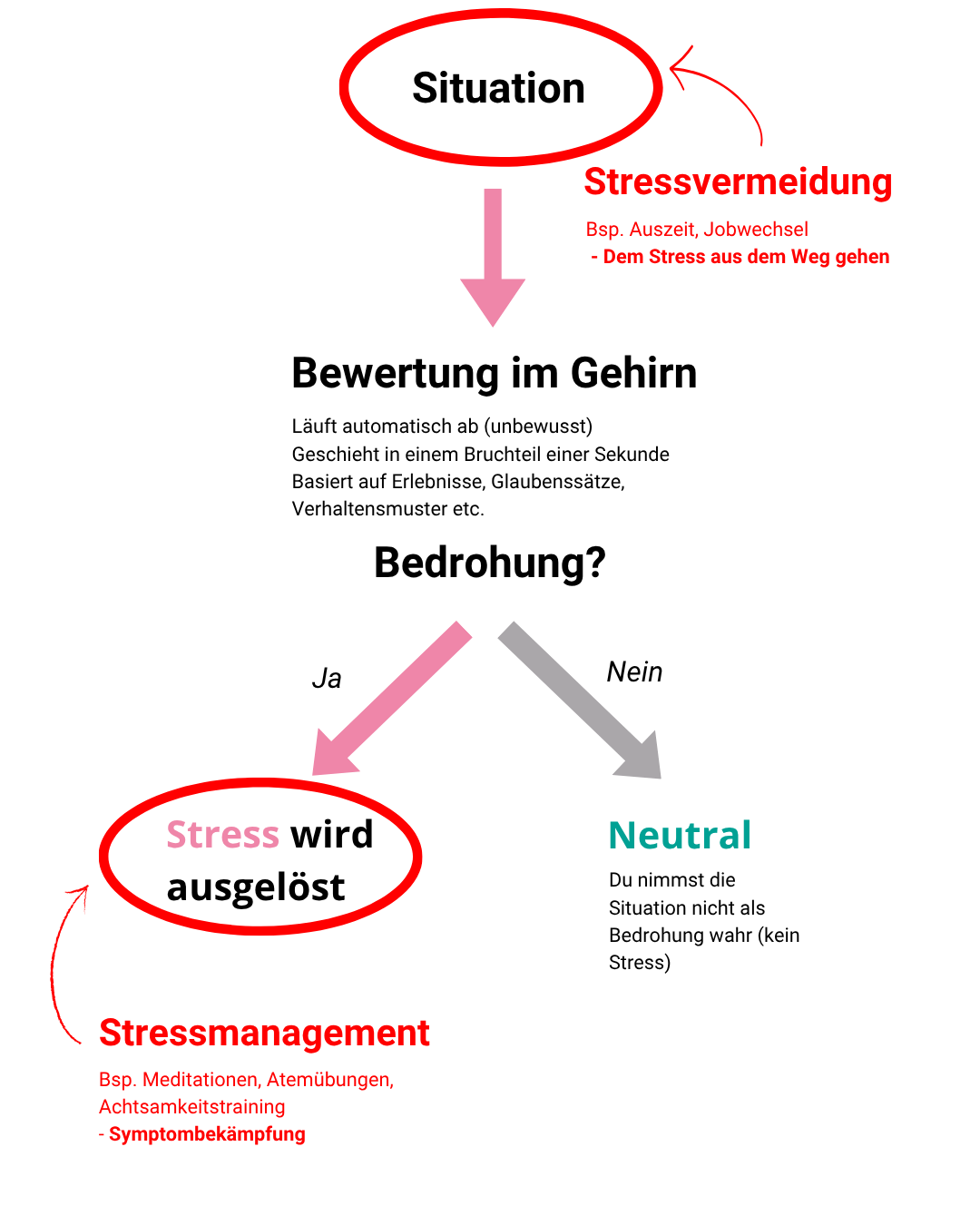 Mind Switch Stressbewertung Mind Switch Stressbewertung