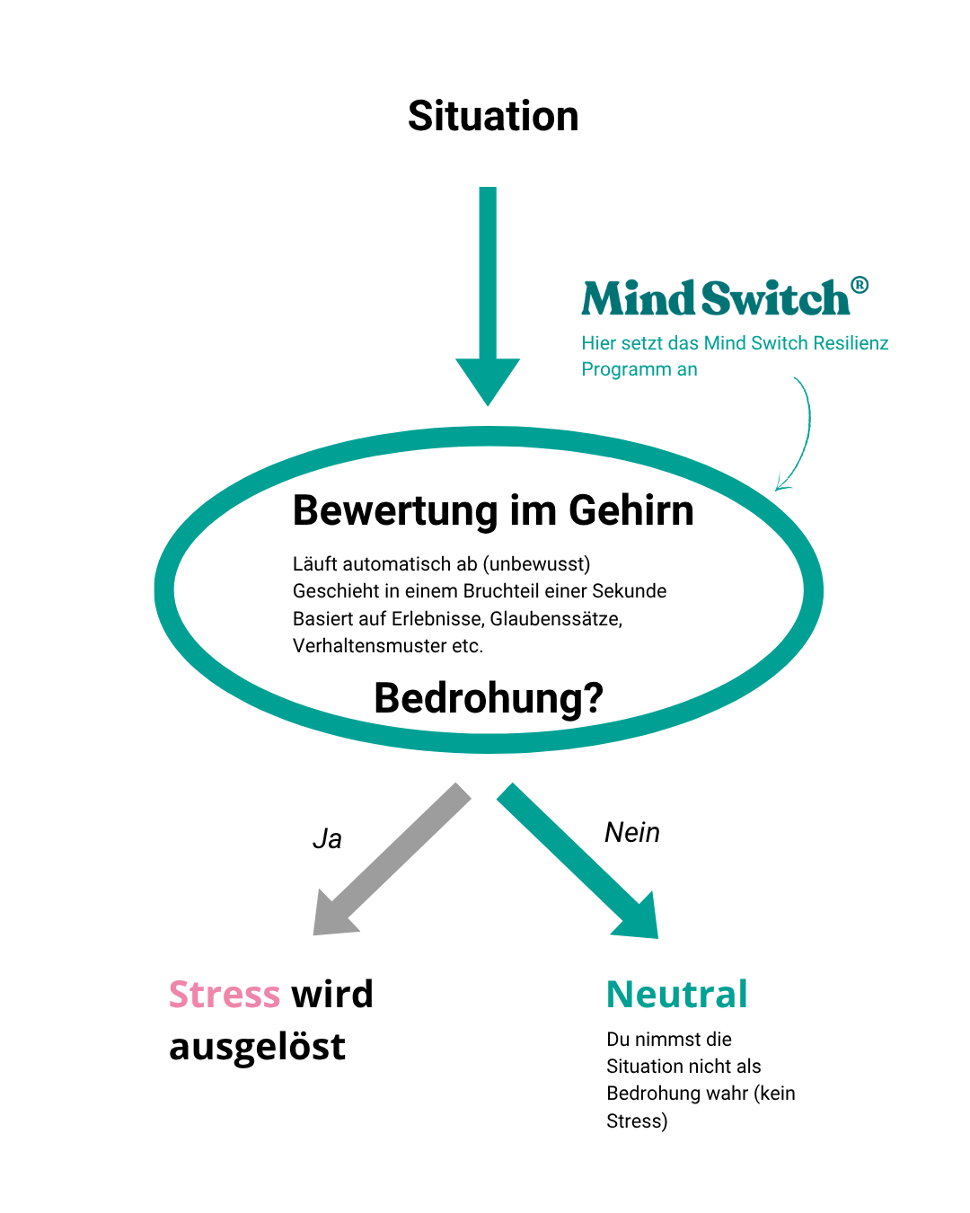 Mit Mind Switch bewertest du eine Situation anders Mit Mind Switch bewertest du eine Situation anders