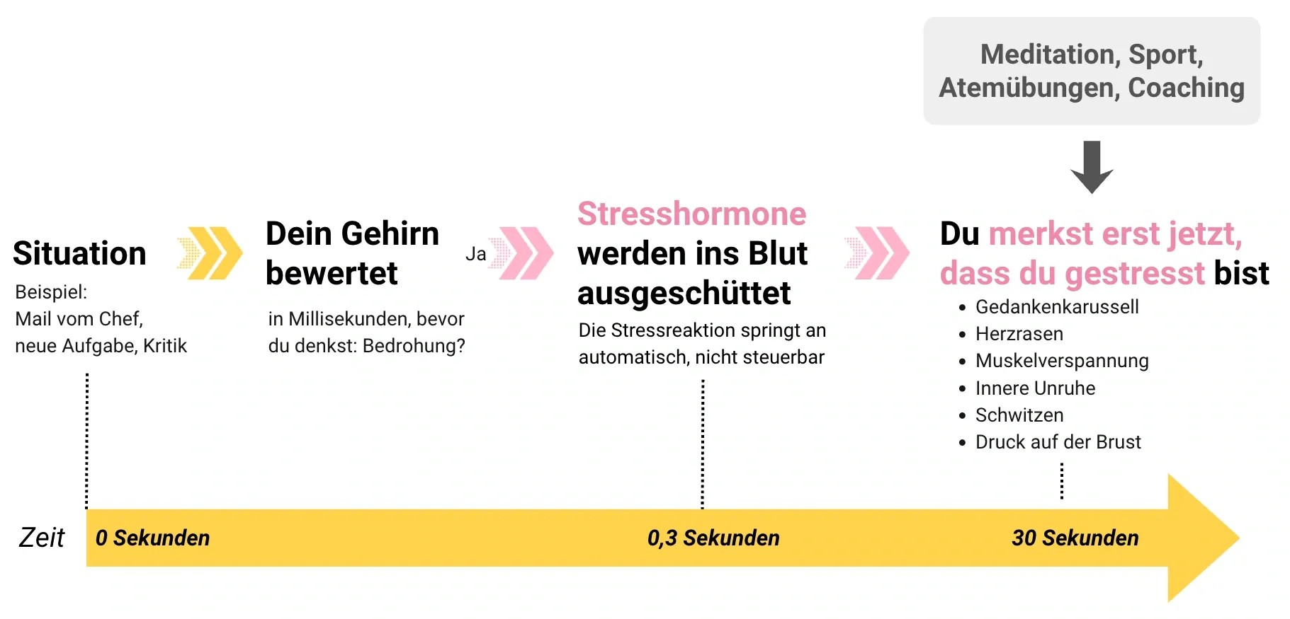 So läuft die Stressreaktion heute ab