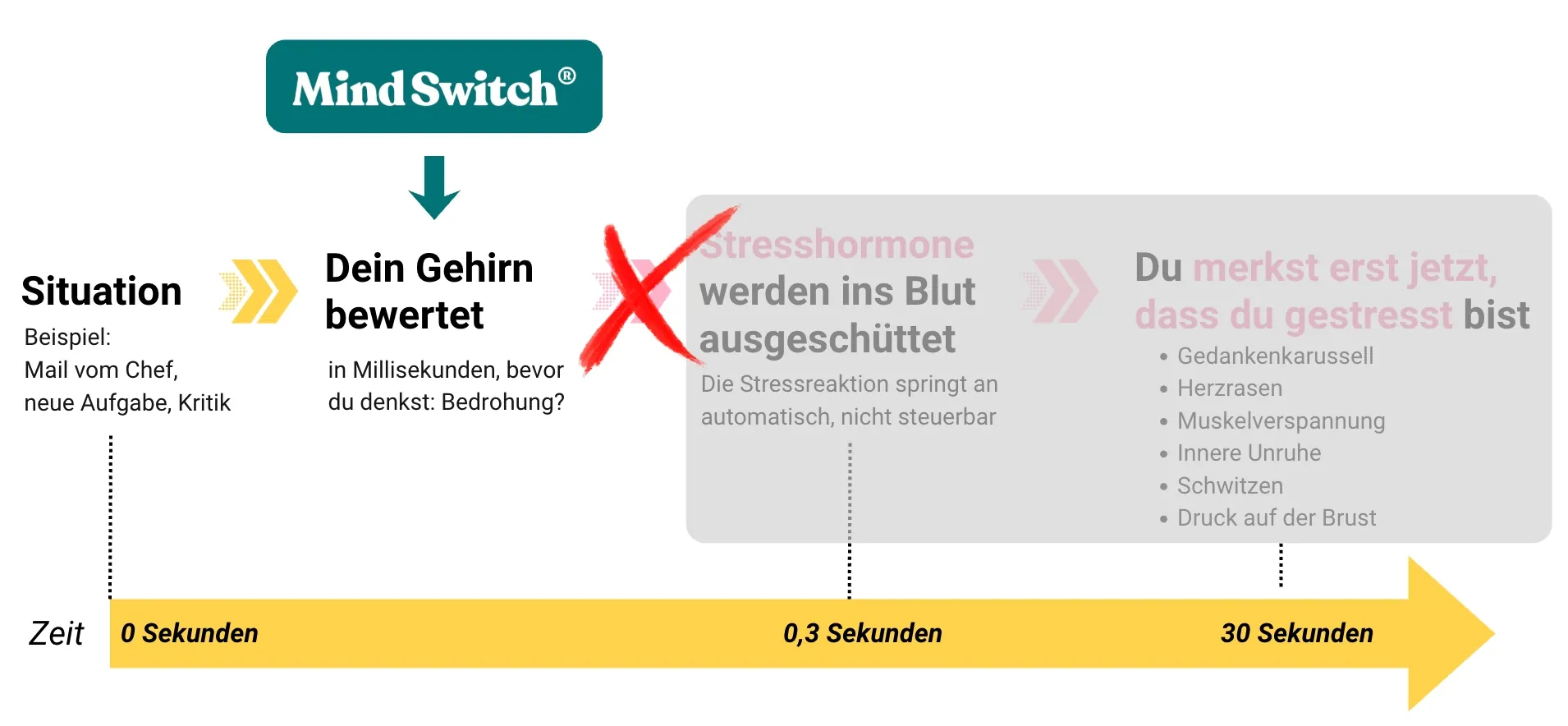 So läuft die Stressreaktion mit Mind Switch ab