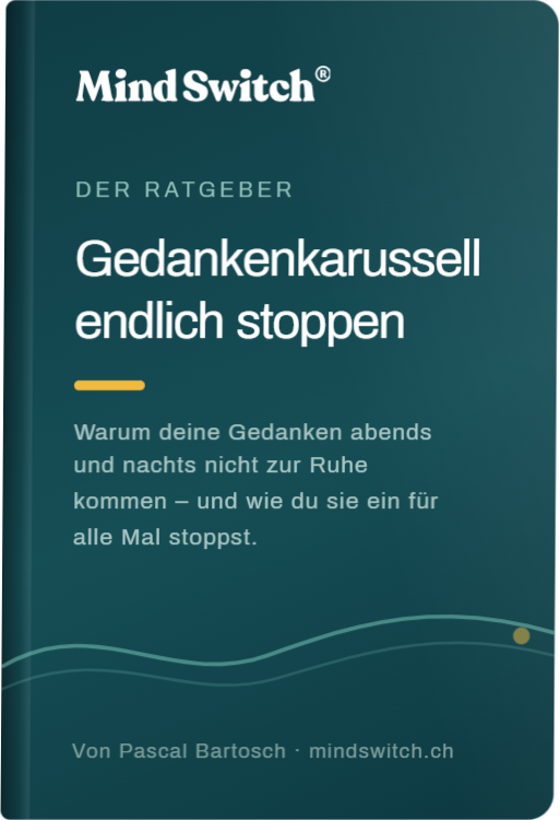 PDF-Cover: Ratgeber Gedankenkarussell endlich stoppen
